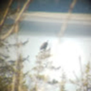 Meet your Posher, Kellen